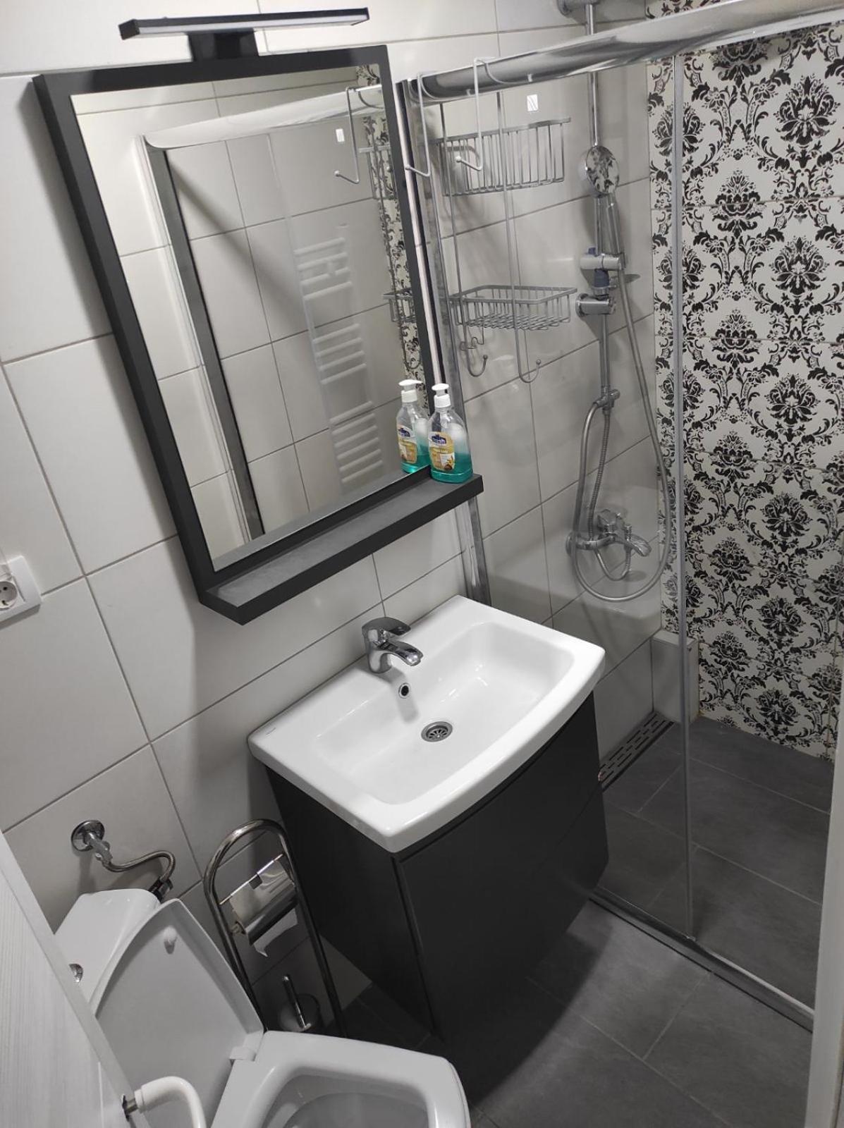 Vila Mila Riverside Apartments Smederevo Rum bild